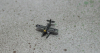 FB 50 Arado 196 bemalt (1 St.) D 1939